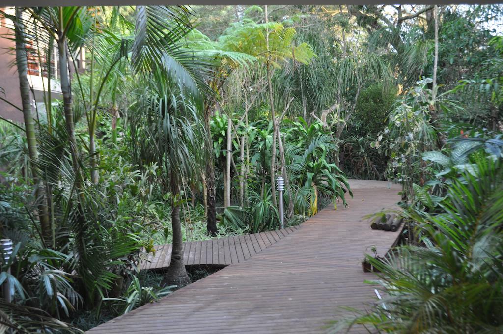 Forest Lodge Saint Lucia Estuary Eksteriør bilde