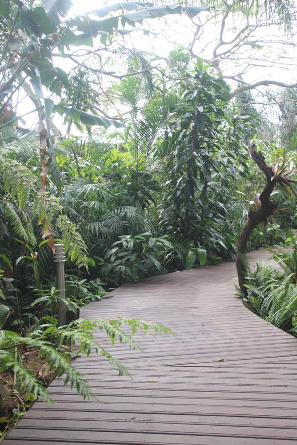 Forest Lodge Saint Lucia Estuary Eksteriør bilde