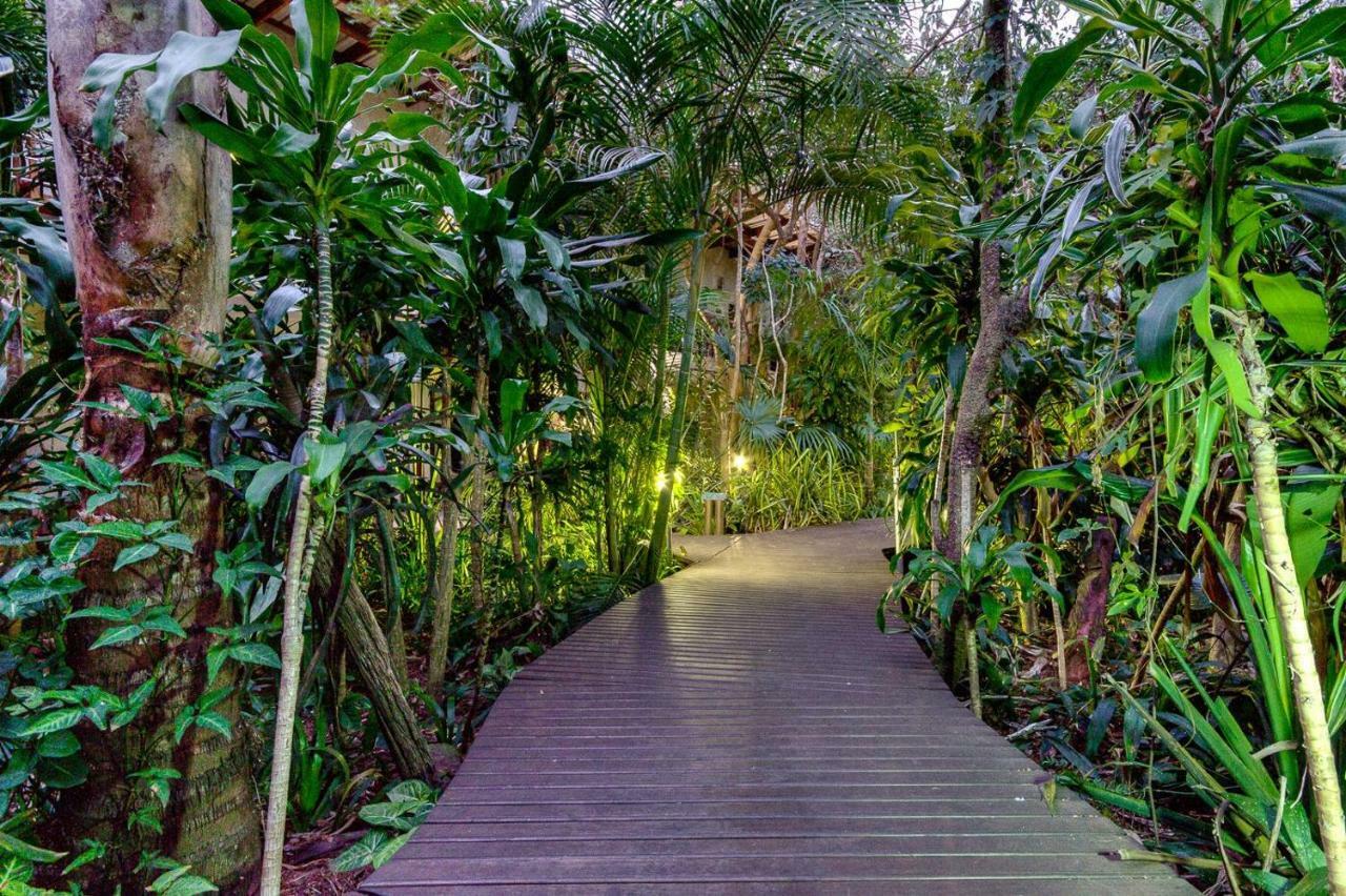 Forest Lodge Saint Lucia Estuary Eksteriør bilde